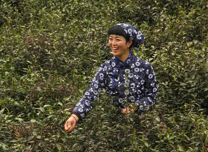 动漫6